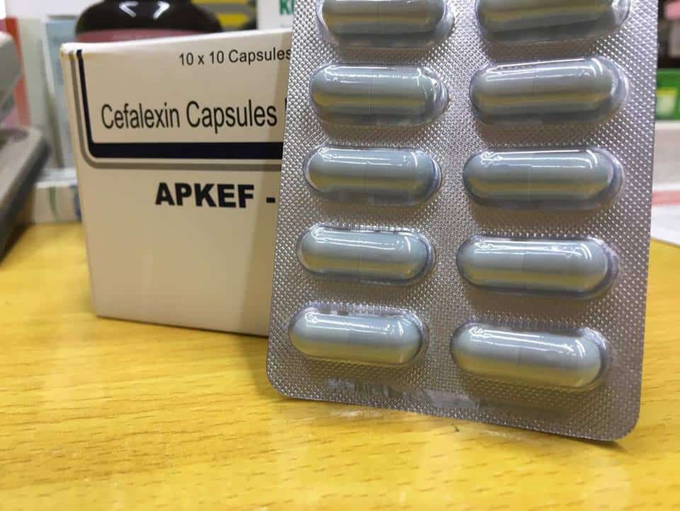 how often do you take cephalexin for uti